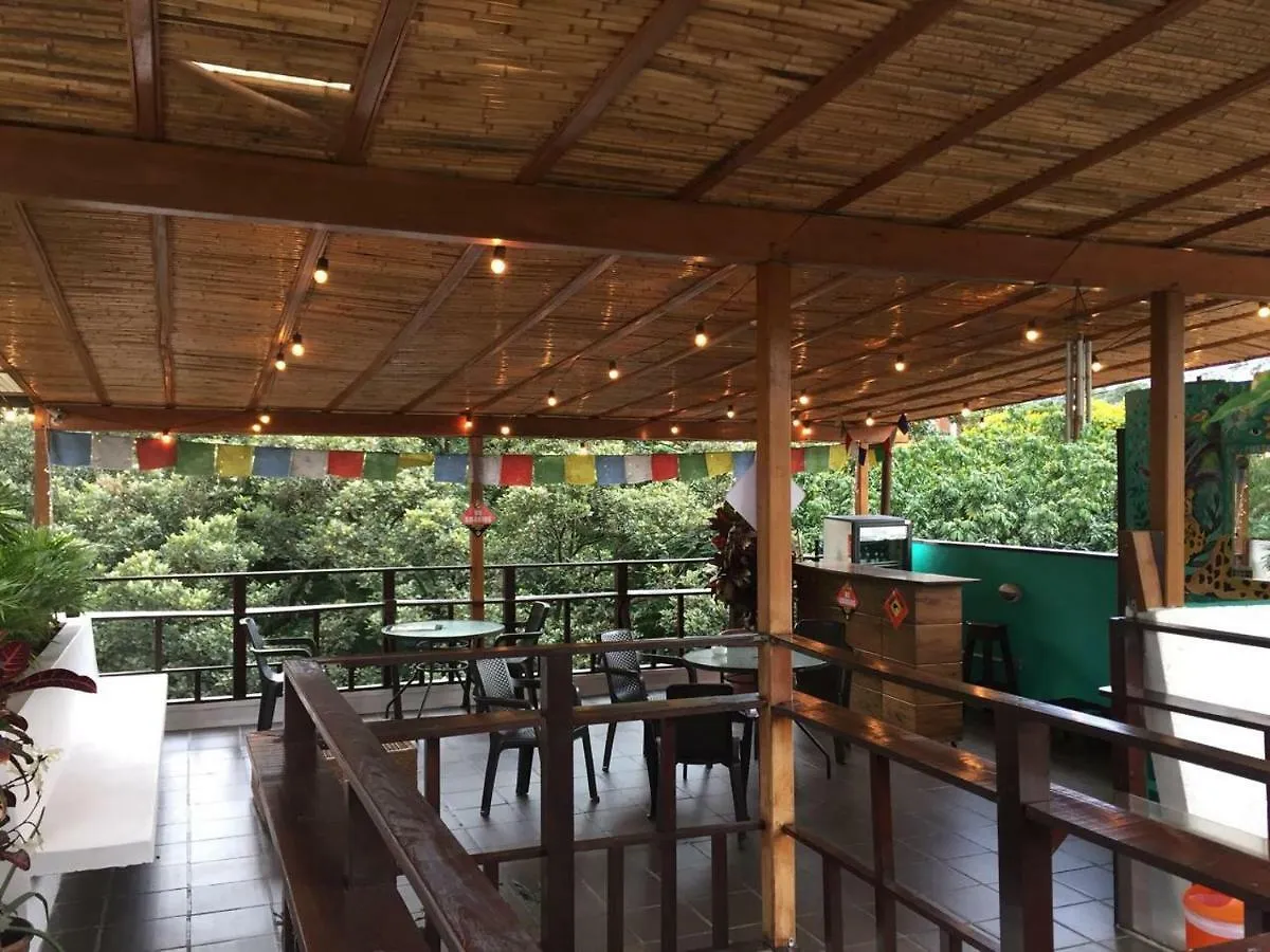 Casa Kiwi Hostel 麦德林