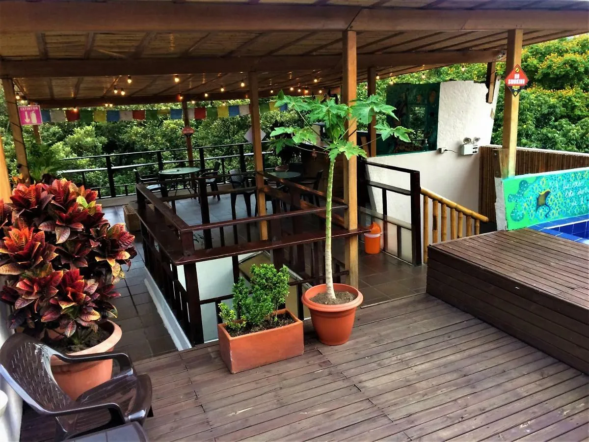 Casa Kiwi Hostel 麦德林