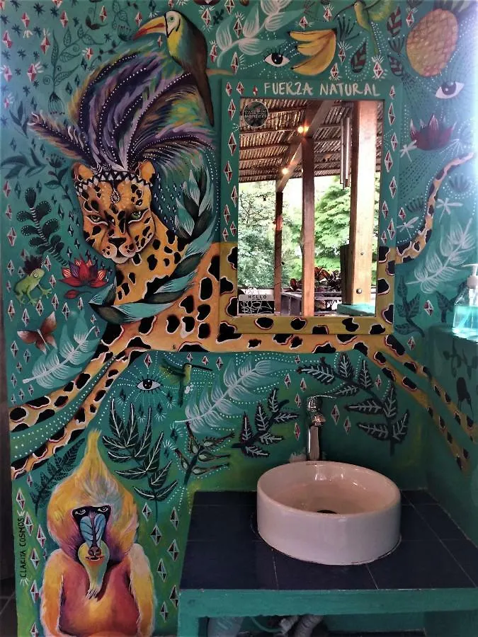 Casa Kiwi Hostel Medellín Colombia
